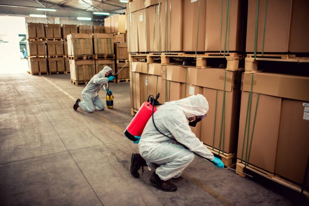 Best Affordable Pest Control Services  in Black River, NY