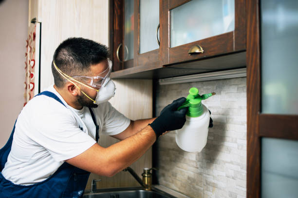 Best Pest Control Near Me in Black River, NY
