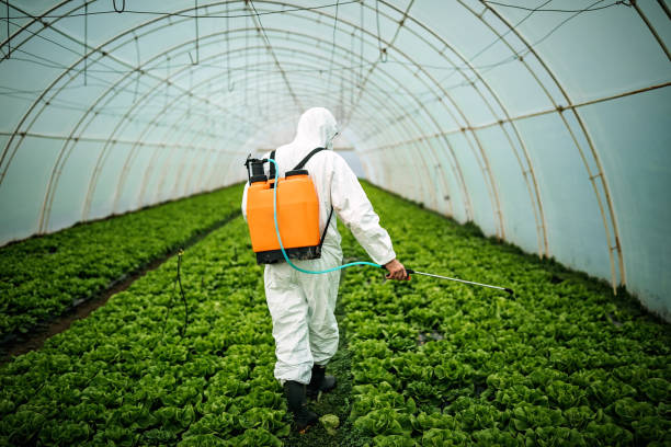 Best Affordable Pest Control Services  in Black River, NY