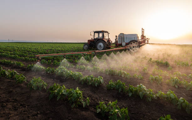 Best Pest Prevention Services  in Black River, NY