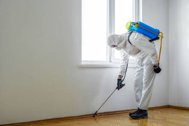 Best Pest Removal Services  in Black River, NY