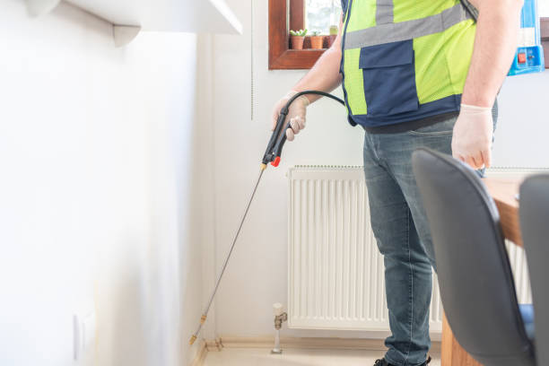 Best Pest Inspection Near Me  in Black River, NY